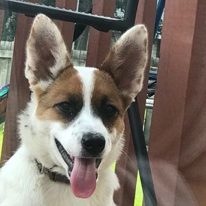 Meet your Posher, Eduardo